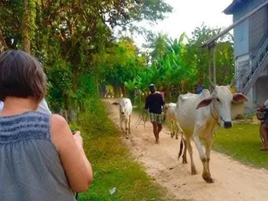 Kwatera prywatna Monyharch Angkor Homestay, Kangan Pong