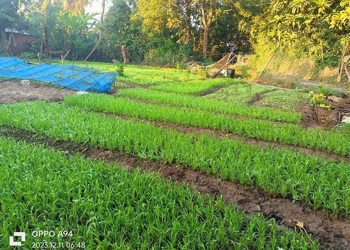 Monyharch Angkor Homestay, Kangan Pong